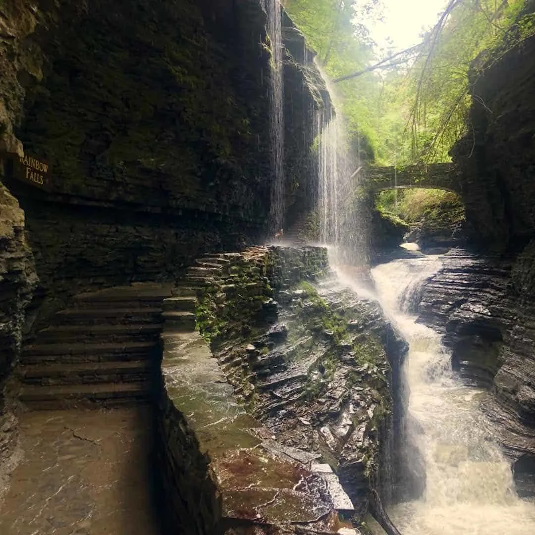 watkins-glen-state-park-trails