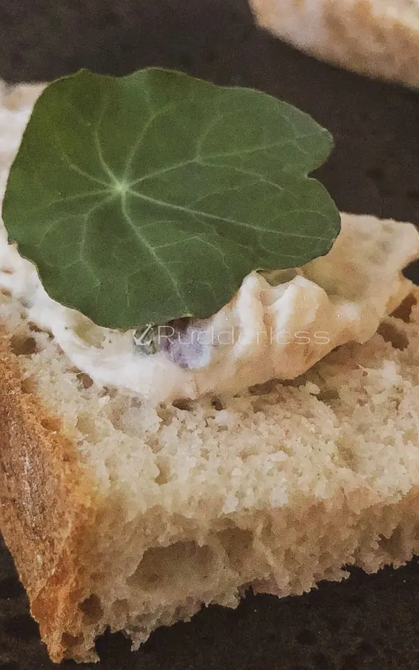 spread on a piece of wine with a leaf garnish