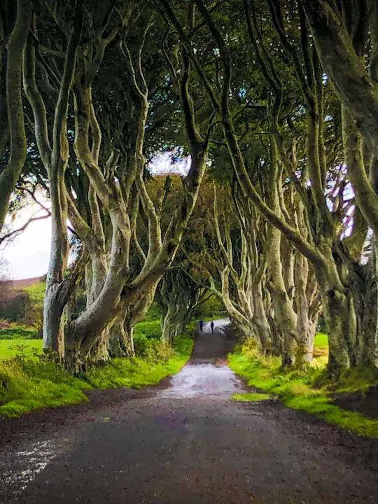Game of Thrones Northern Ireland