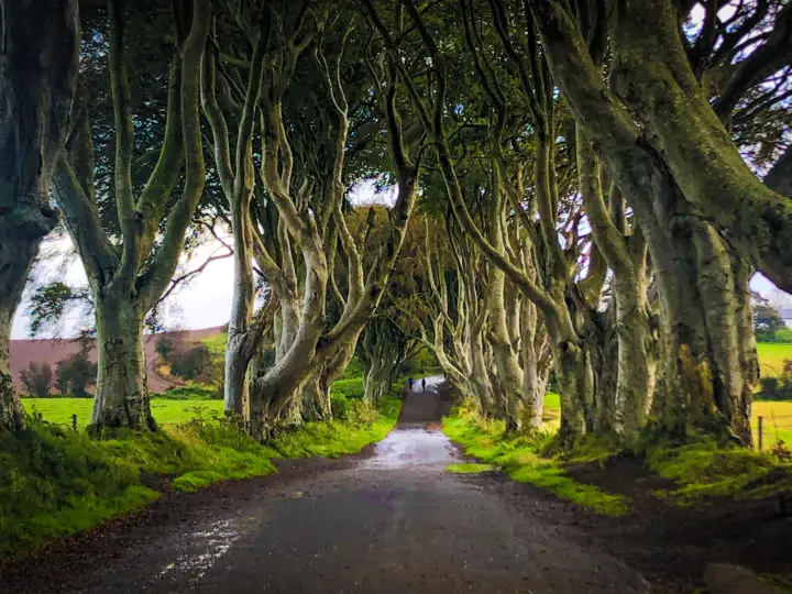 16 Awesome Game of Thrones Northern Ireland Filming Locations