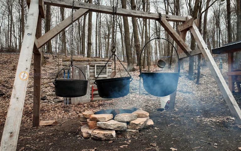 Maple Festivals Ontario