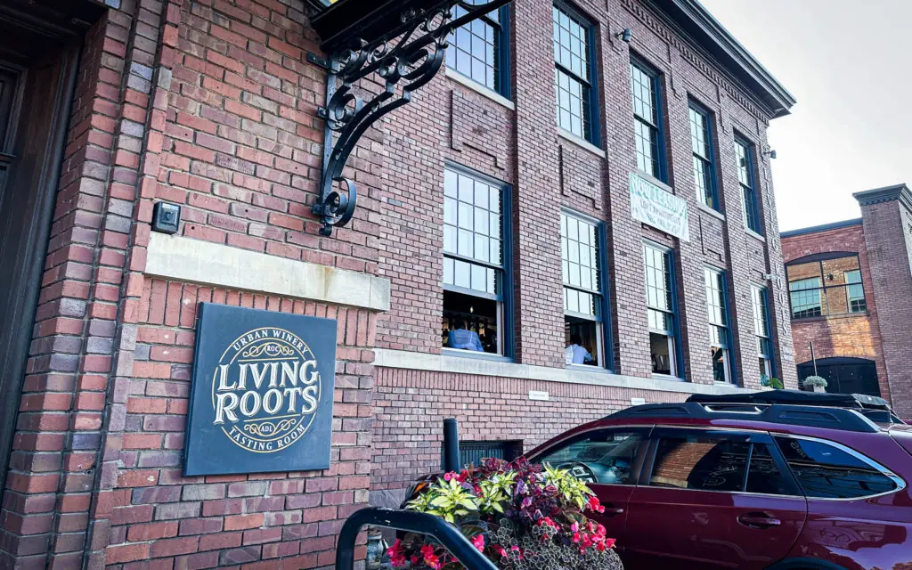 activities in rochester