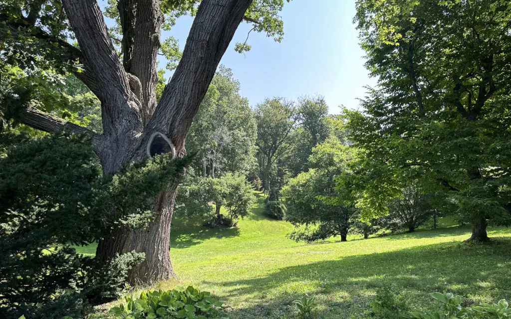 best things to do in rochester ny