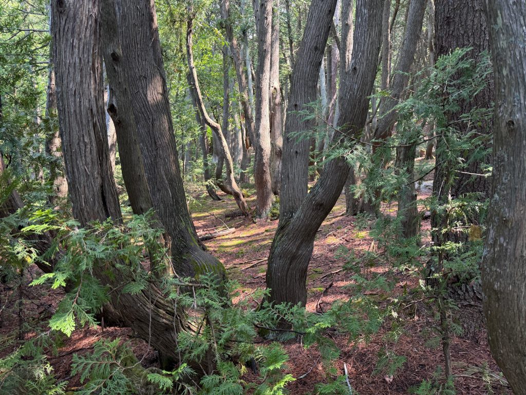 Indigenous culture in Abitibi-Témiscamingue