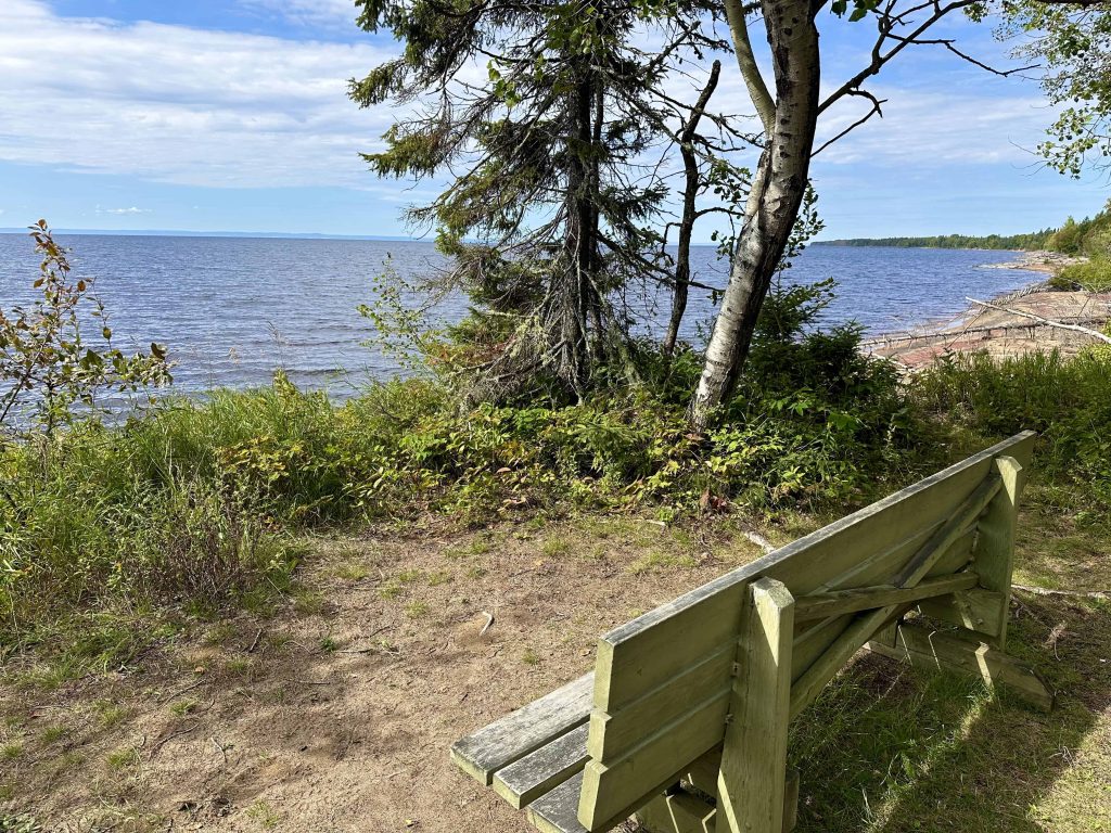 things to do in saguenay