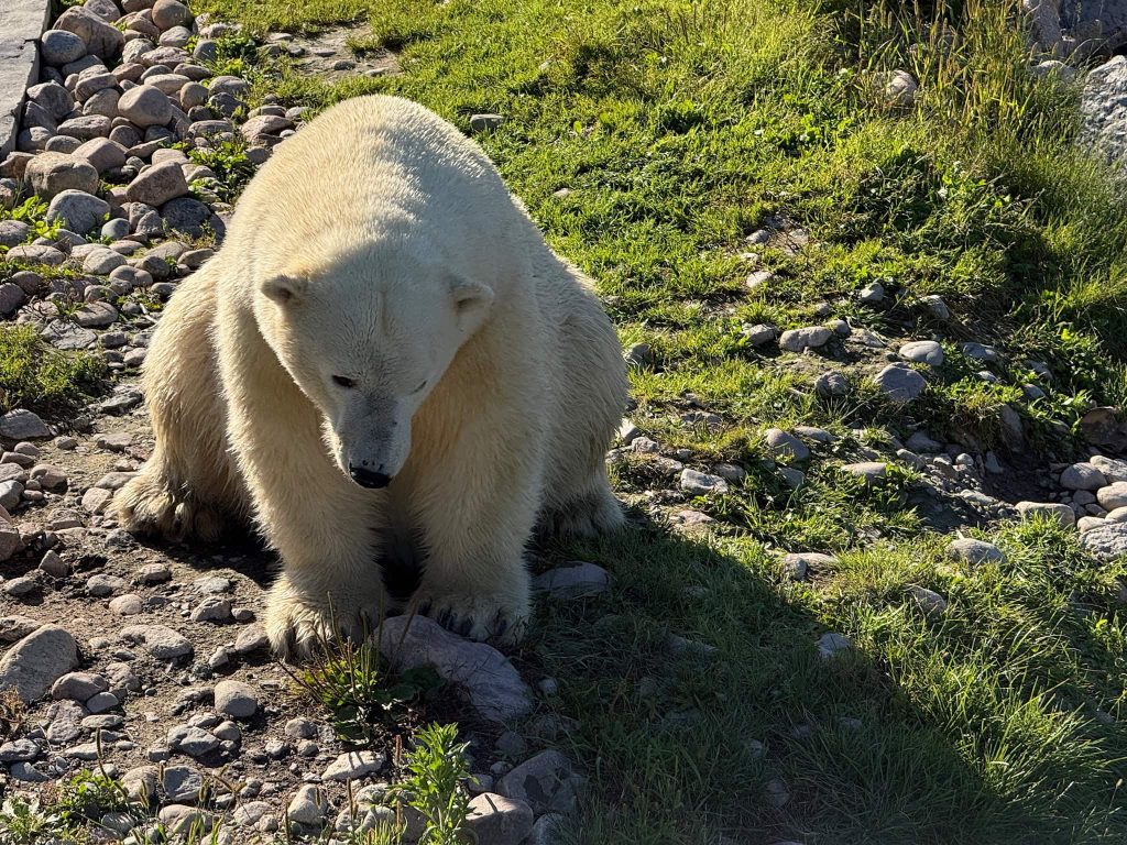 family-friendly activities in sanguenay-lac-saint-jean