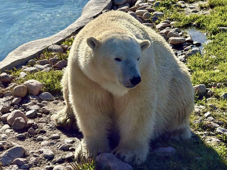 saguenay-lac-saint-jean