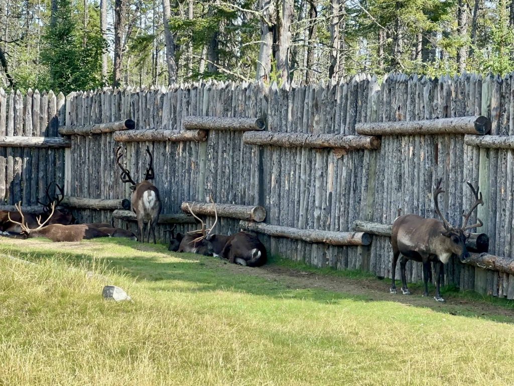 family-friendly activities in sanguenay-lac-saint-jean