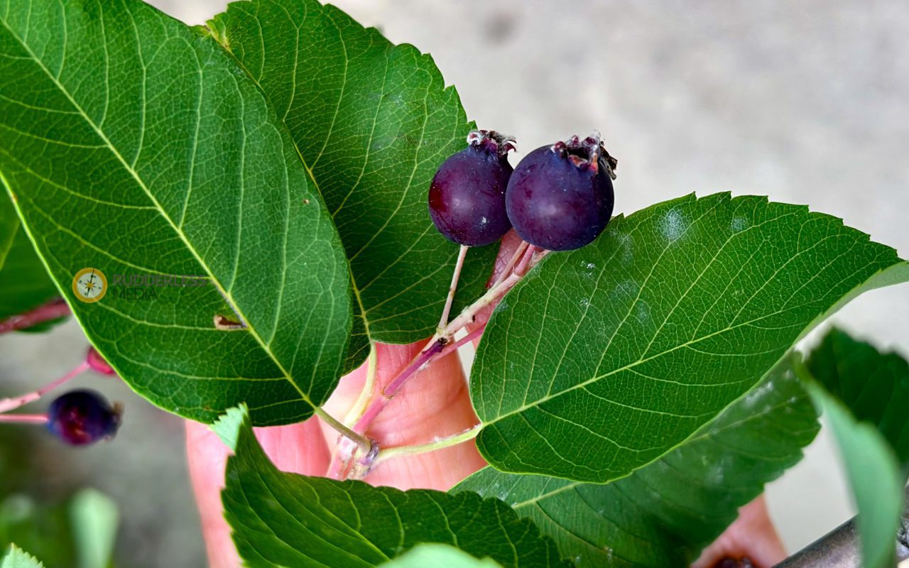 best time to visit Winnipeg