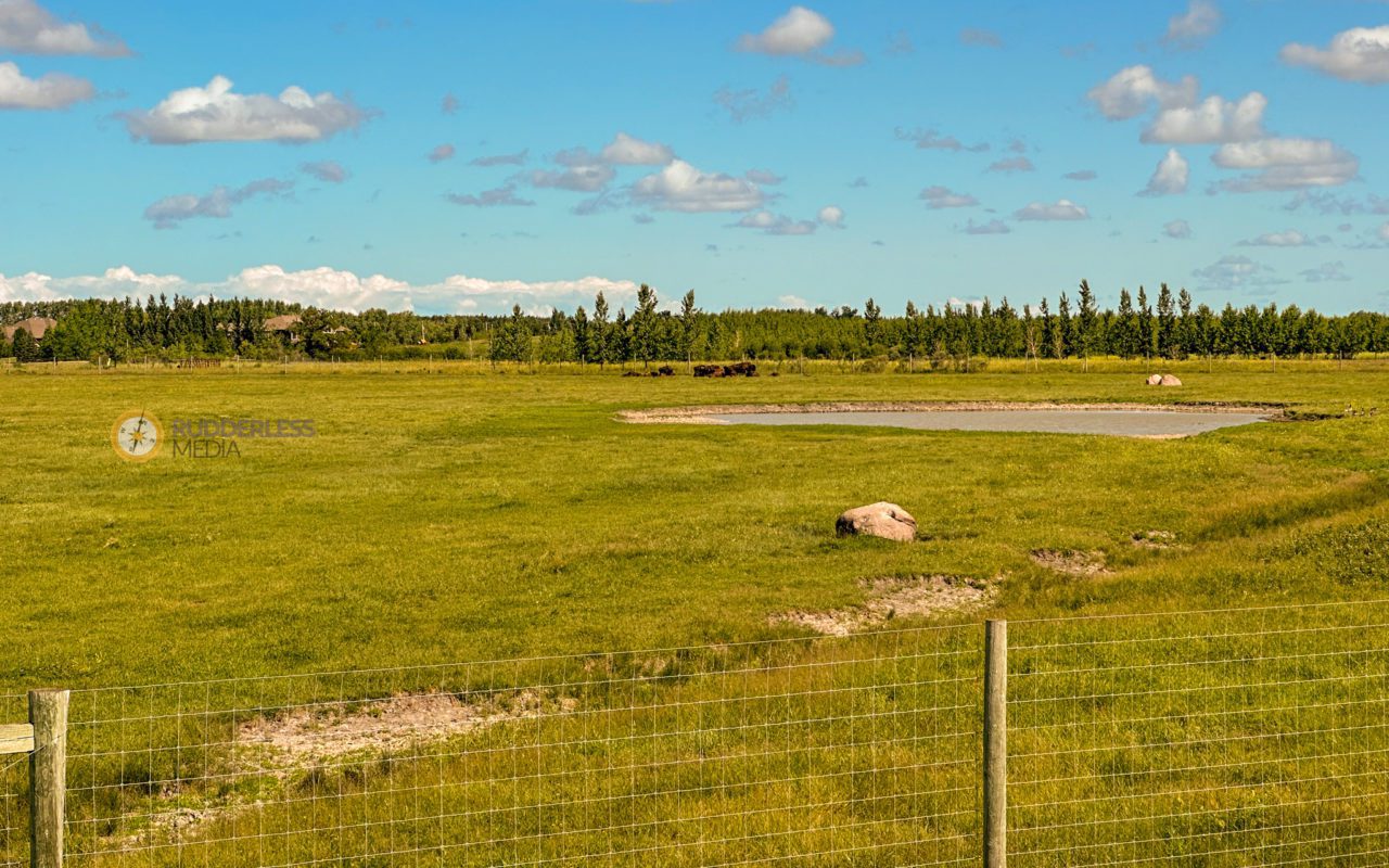 best time to visit Winnipeg