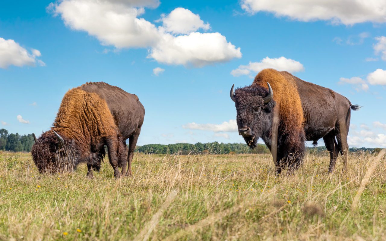 best time to visit Winnipeg