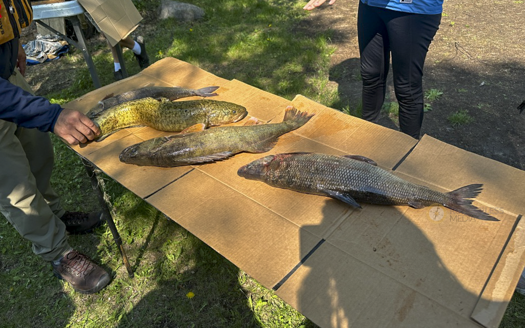 Kâniyâsihk Culture Camps