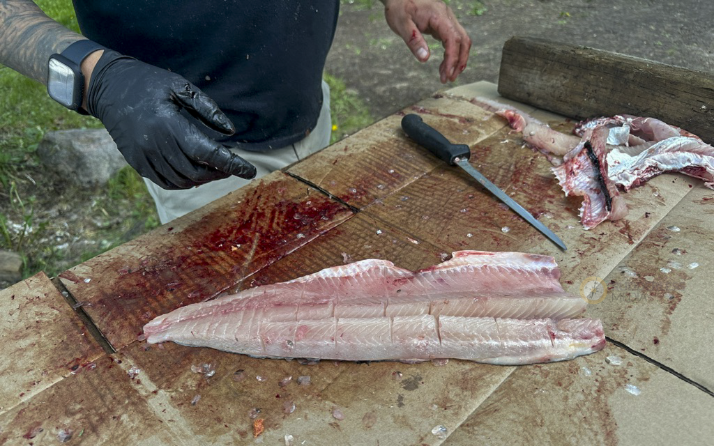 Kâniyâsihk Culture Camps