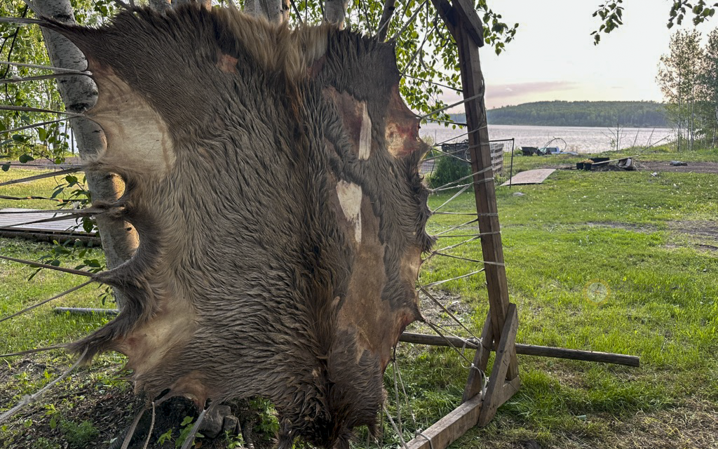 Traditional Hide Tanning
