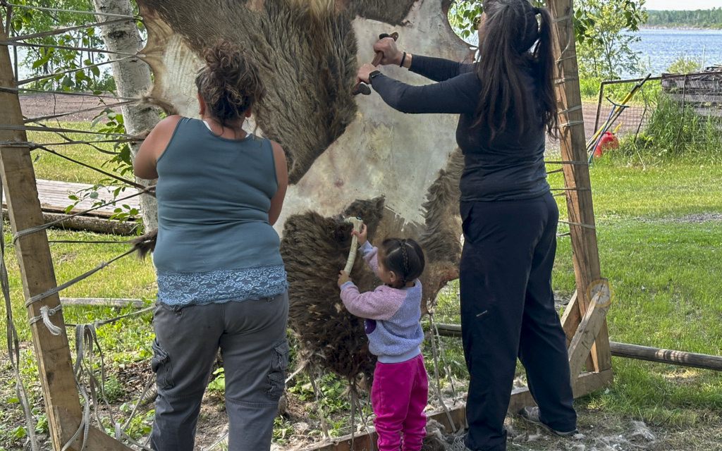 Traditional Hide Tanning
