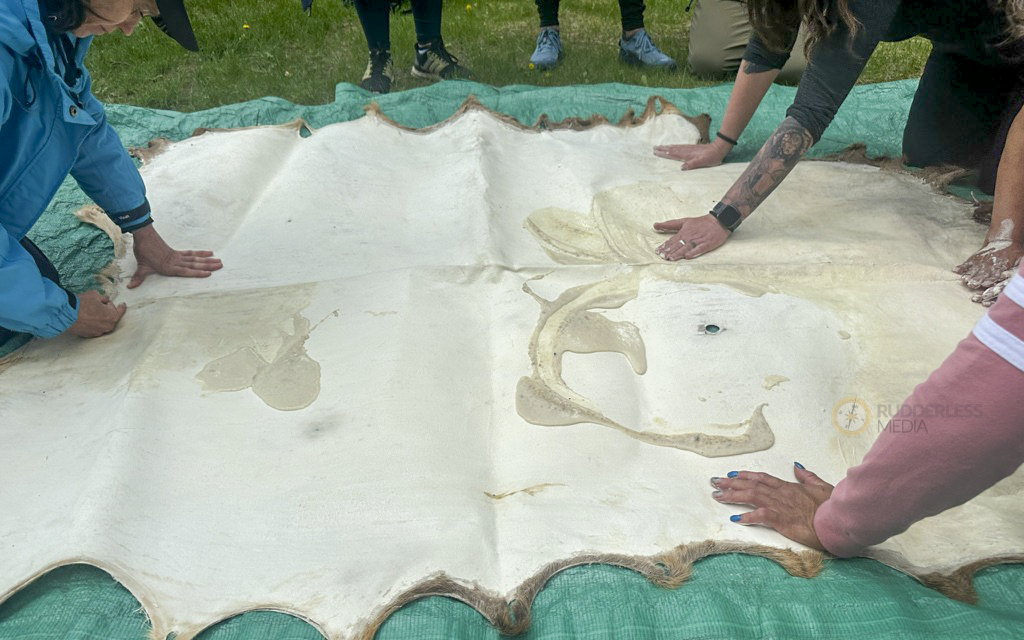 Traditional Hide Tanning