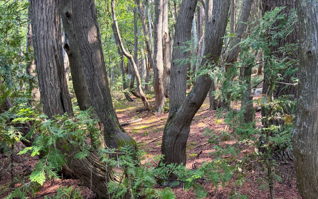 Fort Témiscamingue