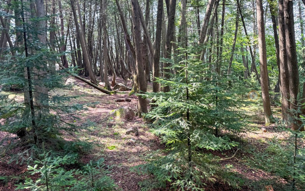 Fort Témiscamingue