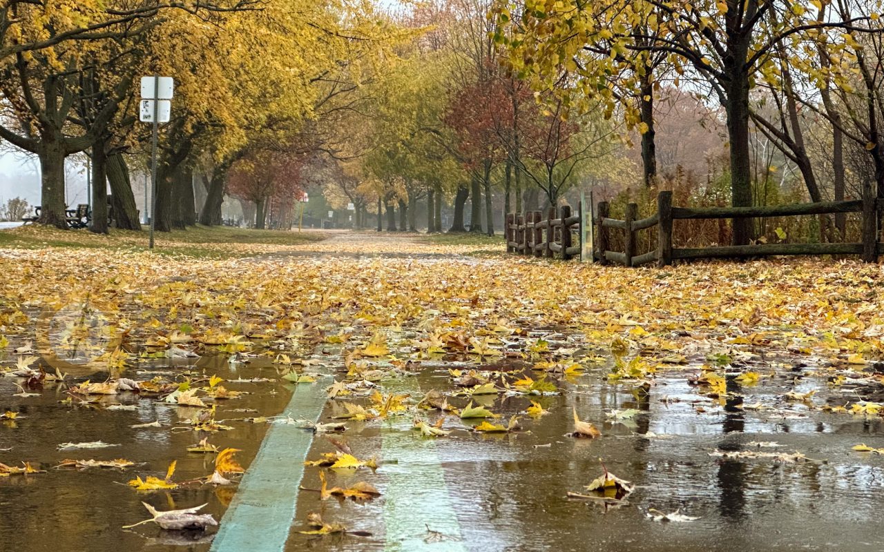 Featured image for From Beaches to Bridges: Experience the Martin Goodman Trail Like a Local - Road Trip Ontario