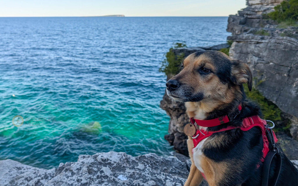 camping at bruce peninsula national park