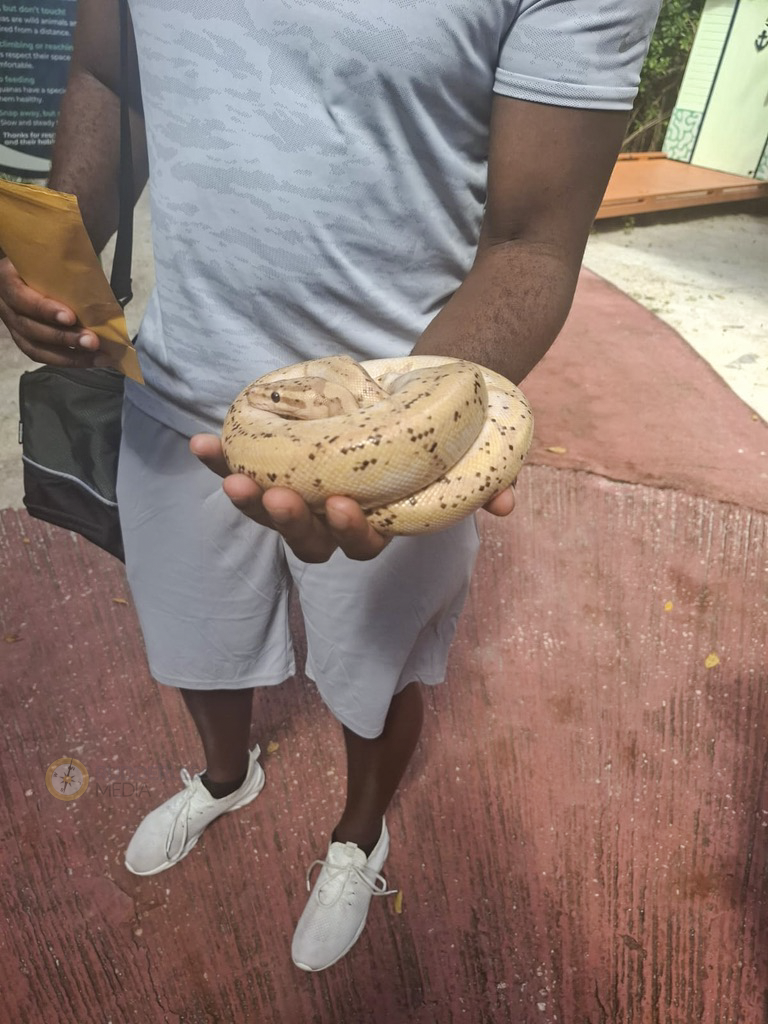 best time to visit barbados