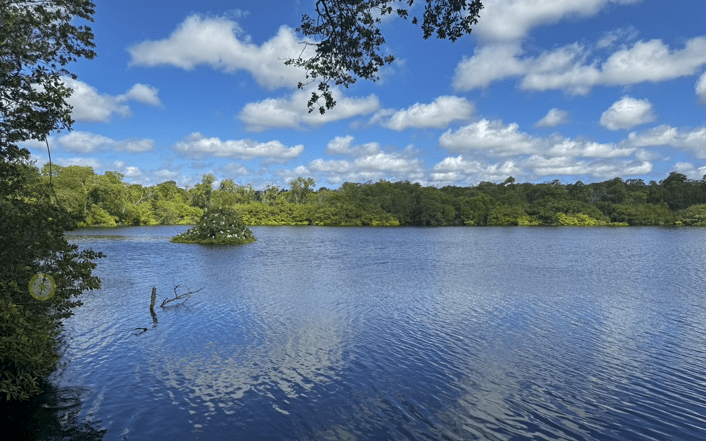 best time to visit barbados