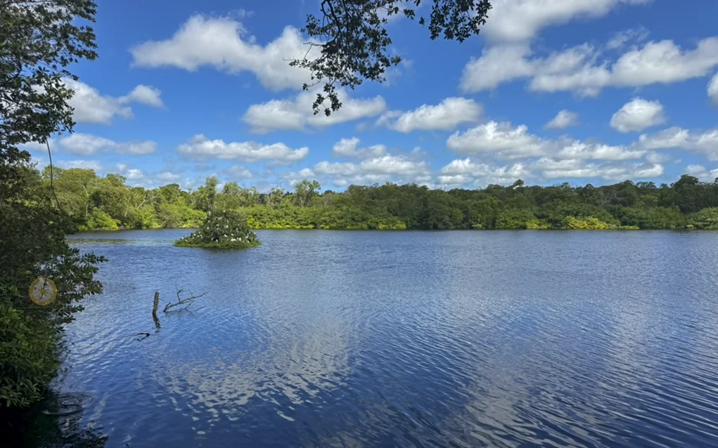 best time to visit barbados