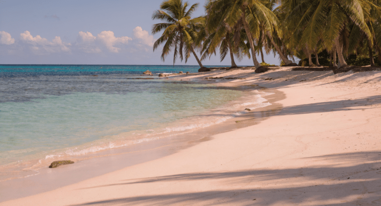 travel to barbados