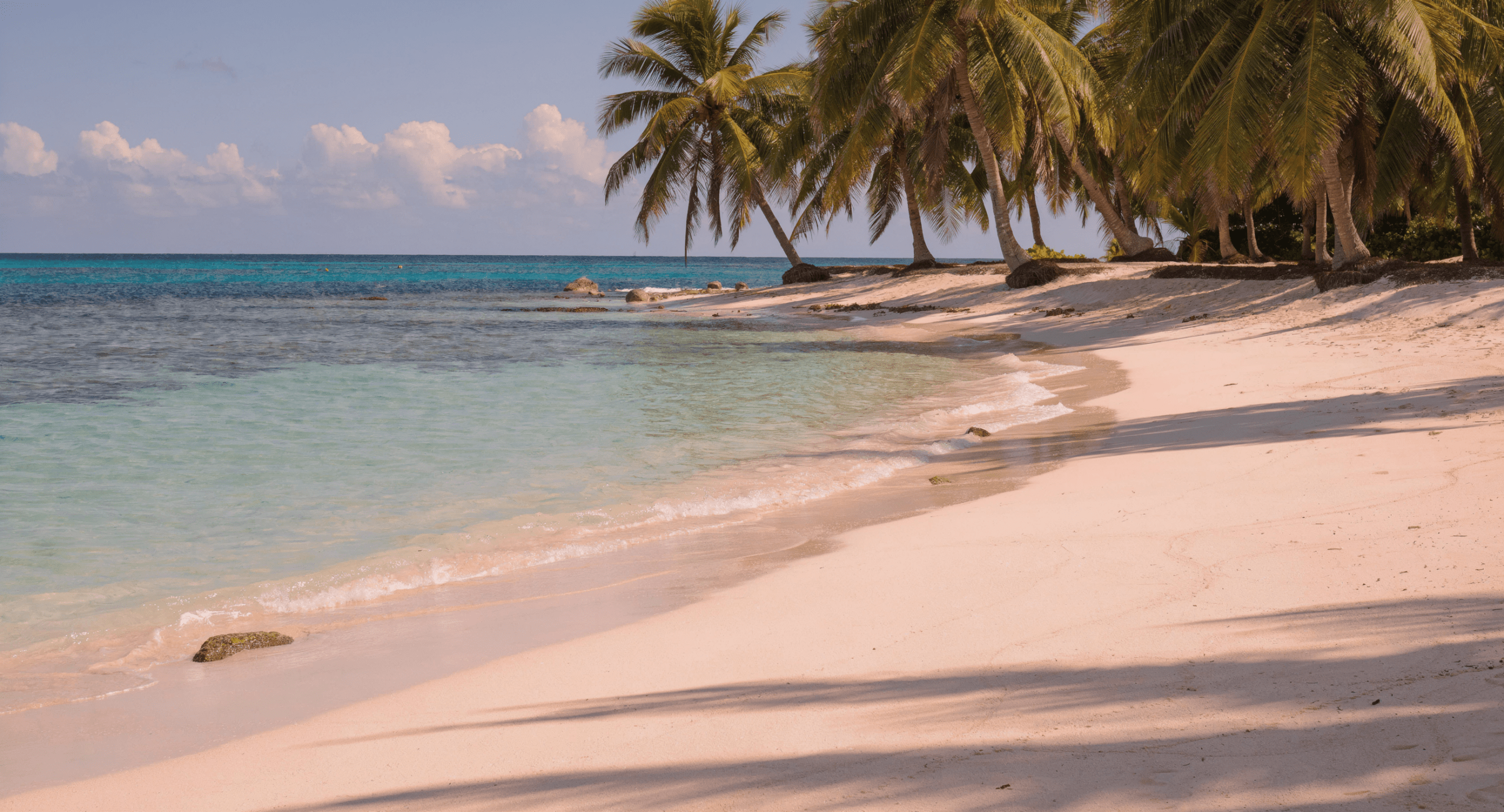 travel to barbados