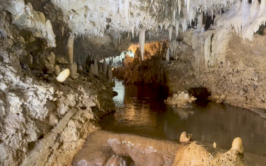 things to see in barbados