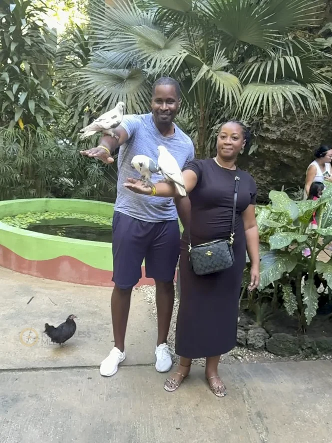 things to see in barbados-2